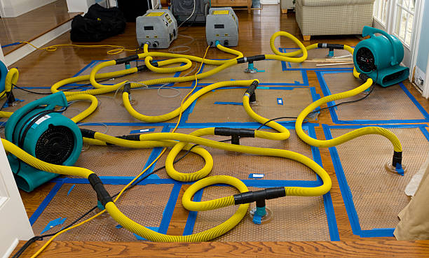 Professional Basement Flood Cleanup technician working in Alliance, OH